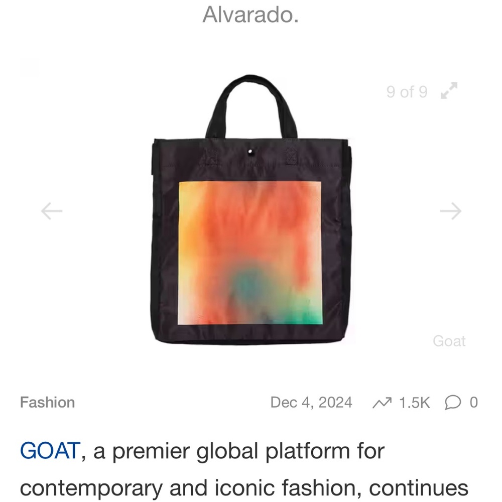 Art Basel / GOAT/ Diana Yesenia Alvarado collab bag - Picture 1 of 11